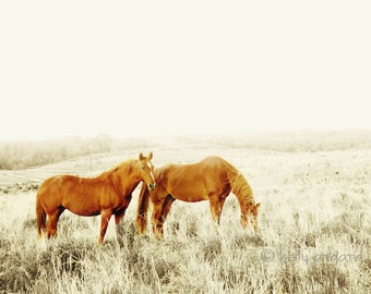 Horse photograph, fine art horse photography - 8x8 two wild horses photo, rustic dreamy landscape - love, couple together