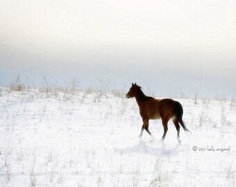 Horse Photography - dreamy, surreal horse photograph - 8x10 wild horse running photo, snow winter landscape, ethereal sky