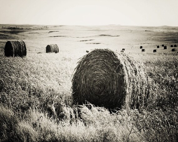 Black White Field Hay Bales Landscape Home Decor Kansas Black White Field Hay Bales Landscape Home Decor Kansas