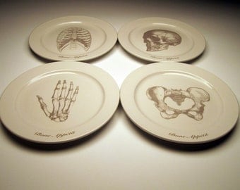 BONE APPETIT 9 inch dinner plates in Ghostie GREY