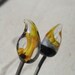 Lampwork Brass and Glass Headpins, SRALETEAM