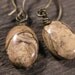 Picture jasper stone and antique brass earrings