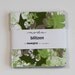 SALE - 2 packs - Blitzen Charm Pack by Basic Grey for Moda Fabrics, 84 5 inch squares
