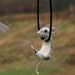 Tiny Mouse Necklace - needle felted