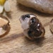 Boxer Brindle Pandora European Style Polymer Clay Dog Bead