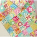 Custom Listing for Tarah Kumari Garden Baby Quilt