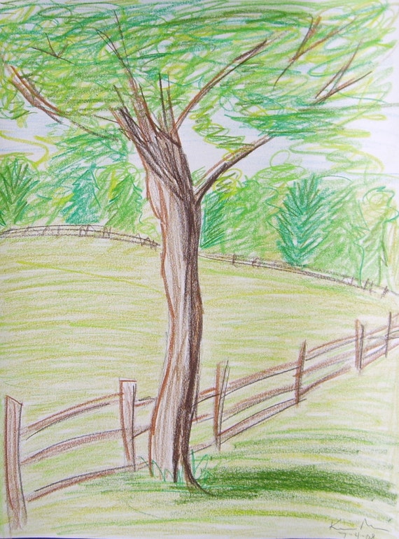 Tree in a Field Colored Pencil Drawing 9 in X 12 in by kjmART
