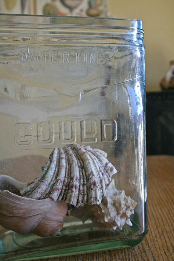 Vintage Gould Glass Battery Jar Vase Great Display Piece