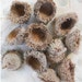 3 sets of Large Fringed Acorn Caps