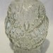Clear Glass Owl Coin Bank