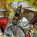 Horse Painting 11x14" matted art, original artwork for sale