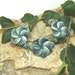 Reserved order for Wend2m