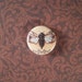 Cicada Pin
