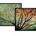 4x4 Print Set on Metallic Paper