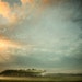 A Mist Story - 8x10 Fine Art Print