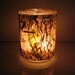 Dark Forest - Scattered Raintree Leaves Earth Light