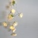 Vintage Champagne French Roses Fairy lights