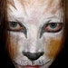 Stage Play Halloween Costume Makeup Cat or Lion Kit