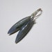 Kyanite Dome elongated briolette earrings