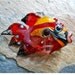 Lampwork glass fish bead, handmade pink, red and melon pendant, 'Summer Sun' CGGE team jewelry, SRA animal necklace or focal by glassbead