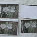 watercolour card set- cosmos
