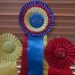 Vintage Horse Show Ribbons from Florida