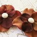 Chocolate Caramel Blossoms - Set of 2 Hairpins