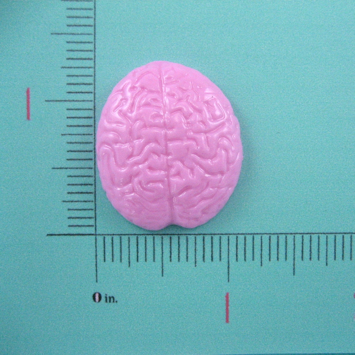resin mold BRAIN MOLD