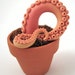 Tentacle plant- Blush