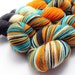 Sid Fishious on Alter Ego - hand dyed yarn