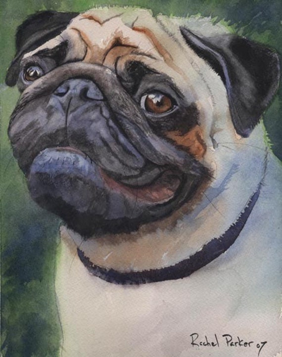 Pug Dog Art Print of my watercolor painting by rachelsstudio