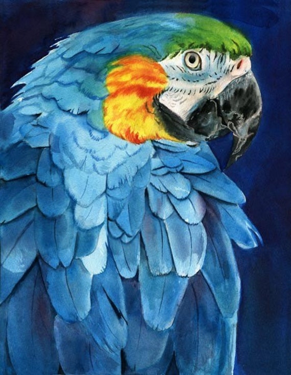 Macaw Parrot Art Print Of My Watercolor Painting Mac   Il 570xN.98242366 