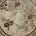 Dinner Plate