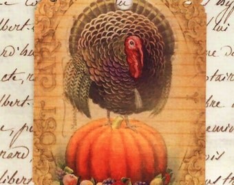 Fall Gift Tags - Vintage Style Thanksgiving Tags , Turkey , Pumpkin Tags , Harvest - Orange Tags , Autumn , Fall Celebration