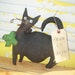 Primitive Feed ME Irish Cat
