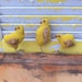 Primitive Easter Yellow Chicks