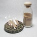 Faerie Dust Herbal Hair Conditioner Blend 7 grams