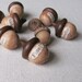 Emotional Acorns