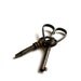 Antique Victorian Keys