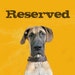 Reserved for Katixa