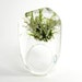 Clear resin ring with green and silver moss W1