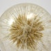 Resin Necklace - Dandelion Pendant. Silver.