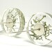Alcee Silver Moss, resin earrings with moss