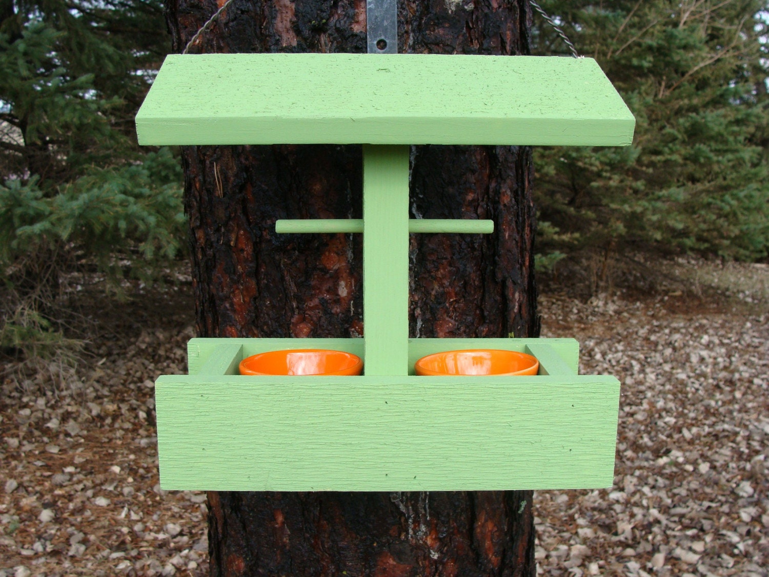 Oriole bird feeder grape jelly oranges mealworm holder
