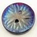 Raku Button