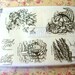 Stampin Up 2005 Always on My Mind rubber stamps set Unused in original case