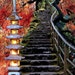 Portland Japanese Garden Collage Fine Art Print