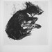 Border Collie Repose 9 - Original Etching