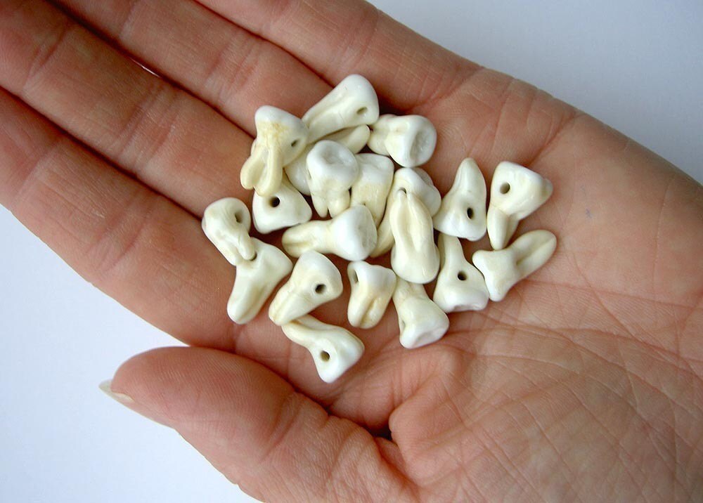 5 Teeth Beads