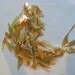 Gold Iridescent Glass Shards for Mosaic Designing